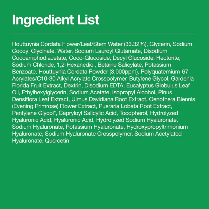 Anua Heartleaf Quercetinol Pore Deep Cleansing Foam