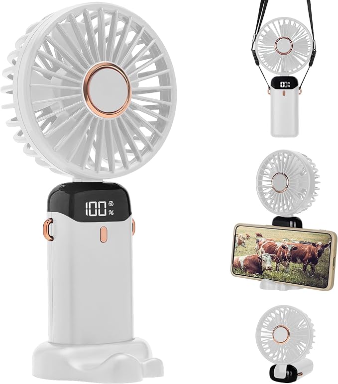 Hand Held Fan