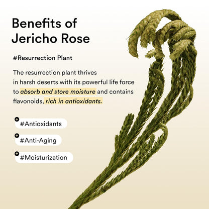 Abib Vegan Collagen Eye Patches – Jericho Rose Jelly