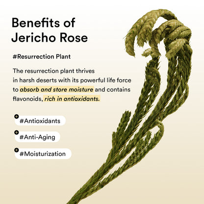 Abib Collagen Eye Patch Jericho Rose Jelly