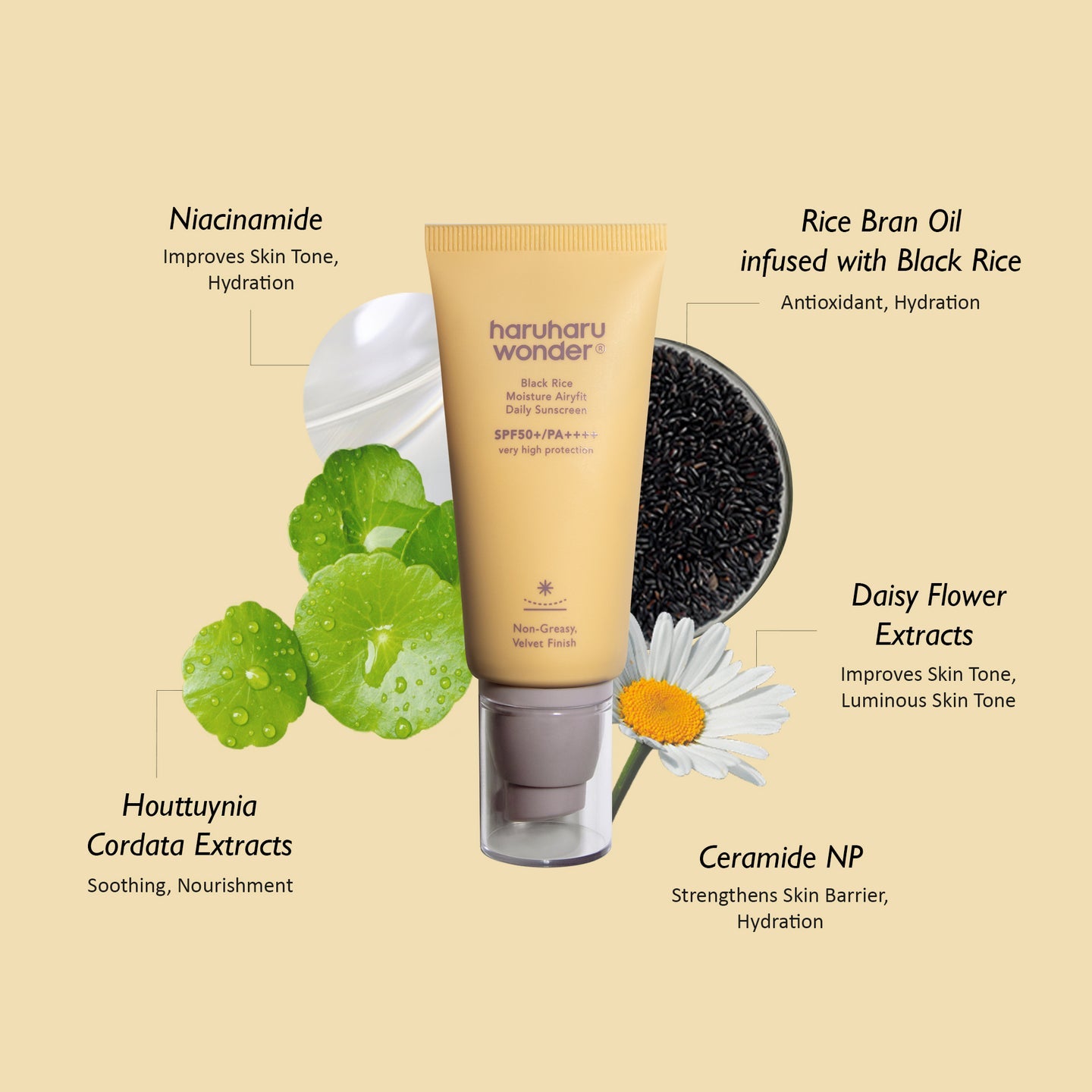 Haruharu wonder Black Rice Moisture Airyfit Sunscreen